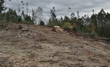 VENTA PARCELA – CONDOMINIO CASA BLANCA VALDIVIA