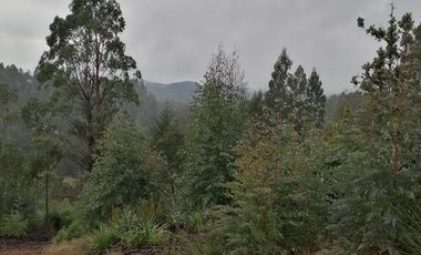 VENTA PARCELA – CONDOMINIO CASA BLANCA VALDIVIA