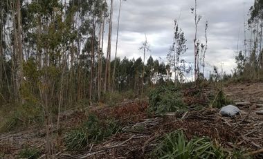 VENTA PARCELA – CONDOMINIO CASA BLANCA VALDIVIA