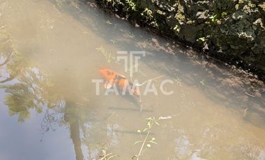 Casa en venta en Fraccionamiento las Fincas en Jiutepec Morelos