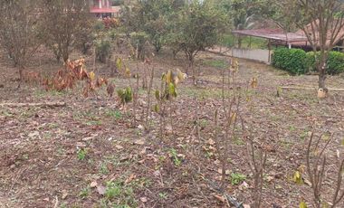 VENTA DOS LOTES TERRENOS 3803 m2, PEDRO VICENTE MALDONADO, ANDOAS