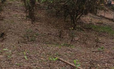 VENTA DOS LOTES TERRENOS 3803 m2, PEDRO VICENTE MALDONADO, ANDOAS