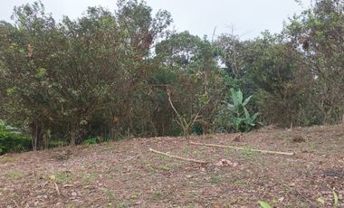 VENTA DOS LOTES TERRENOS 3803 m2, PEDRO VICENTE MALDONADO, ANDOAS