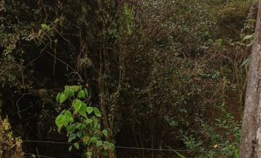 VENTA DOS LOTES TERRENOS 3803 m2, PEDRO VICENTE MALDONADO, ANDOAS