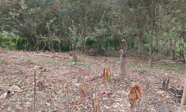 VENTA DOS LOTES TERRENOS 3803 m2, PEDRO VICENTE MALDONADO, ANDOAS