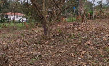 VENTA DOS LOTES TERRENOS 3803 m2, PEDRO VICENTE MALDONADO, ANDOAS