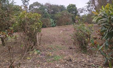 VENTA DOS LOTES TERRENOS 3803 m2, PEDRO VICENTE MALDONADO, ANDOAS