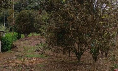 VENTA DOS LOTES TERRENOS 3803 m2, PEDRO VICENTE MALDONADO, ANDOAS