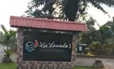 VENTA DOS LOTES TERRENOS 3803 m2, PEDRO VICENTE MALDONADO, ANDOAS