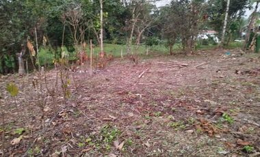 VENTA DOS LOTES TERRENOS 3803 m2, PEDRO VICENTE MALDONADO, ANDOAS