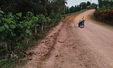 VENTA DOS LOTES TERRENOS 3803 m2, PEDRO VICENTE MALDONADO, ANDOAS