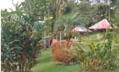 VENTA DOS LOTES TERRENOS 3803 m2, PEDRO VICENTE MALDONADO, ANDOAS