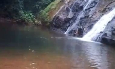 VENTA DOS LOTES TERRENOS 3803 m2, PEDRO VICENTE MALDONADO, ANDOAS