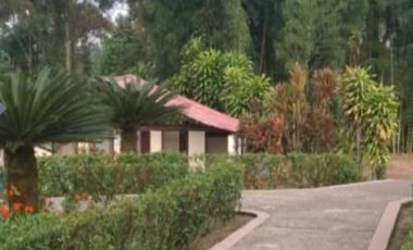 VENTA DOS LOTES TERRENOS 3803 m2, PEDRO VICENTE MALDONADO, ANDOAS