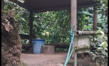 VENTA DOS LOTES TERRENOS 3803 m2, PEDRO VICENTE MALDONADO, ANDOAS