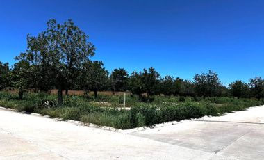 TERRENO EN VENTA CERRADA EL VERGEL RANCHO LA BARRANCA TORREON COAHUILA