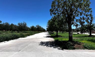 TERRENO EN VENTA CERRADA EL VERGEL RANCHO LA BARRANCA TORREON COAHUILA