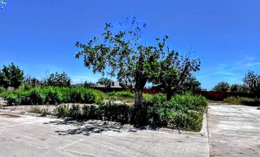 TERRENO EN VENTA CERRADA EL VERGEL RANCHO LA BARRANCA TORREON COAHUILA