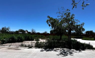 TERRENO EN VENTA CERRADA EL VERGEL RANCHO LA BARRANCA TORREON COAHUILA
