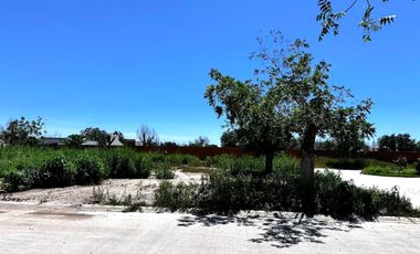 TERRENO EN VENTA CERRADA EL VERGEL RANCHO LA BARRANCA TORREON COAHUILA