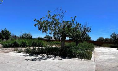 TERRENO EN VENTA CERRADA EL VERGEL RANCHO LA BARRANCA TORREON COAHUILA