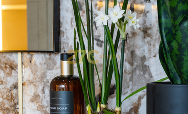 Luxury Antipolo Home with Infinity Pool & Sierra Madre Views | The Eden at Sun Valley Estates