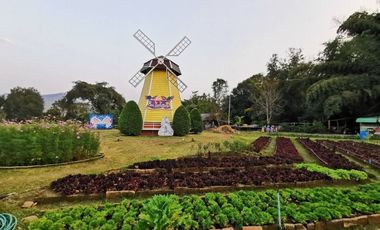 Beautiful well established resort for sale in Pai