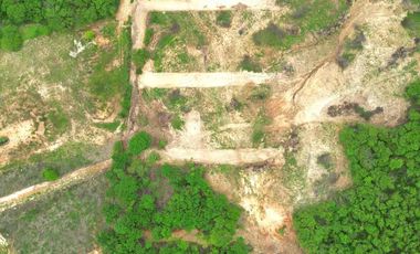 fraccionamiento bugambilias