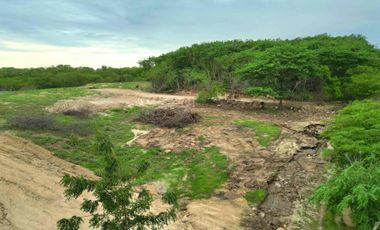 fraccionamiento bugambilias