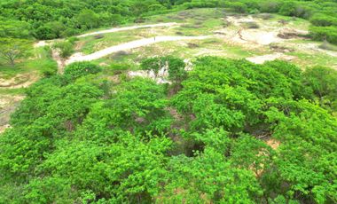 fraccionamiento bugambilias