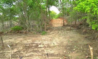 fraccionamiento bugambilias