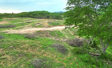 fraccionamiento bugambilias