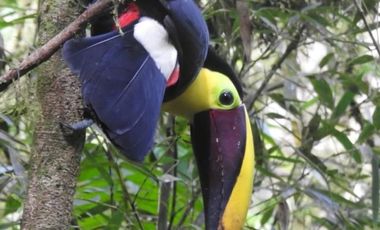 VENDO LODGE HOSTERIA MINDO FUNCIONANDO COMPLETAMENTE