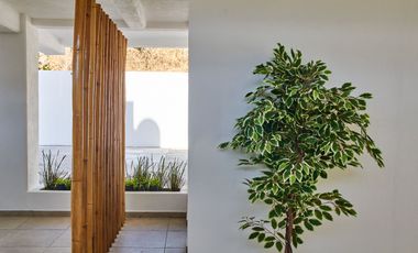 Departamento En Venta Santiago Manzanillo