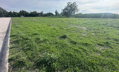 TERRENOS CON ESCRITURAS, AYALA, MORELOS