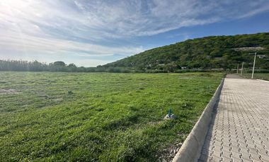 TERRENOS CON ESCRITURAS, AYALA, MORELOS