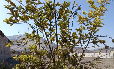 Terreno Buenaventura etapa 1