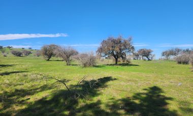 Se vende Parcela en Sector Embalse Mallermo, Marchigue