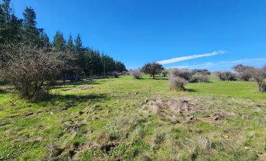 Se vende Parcela en Sector Embalse Mallermo, Marchigue
