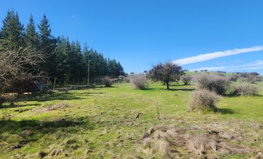 Se vende Parcela en Sector Embalse Mallermo, Marchigue