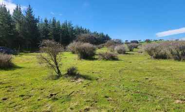 Se vende Parcela en Sector Embalse Mallermo, Marchigue