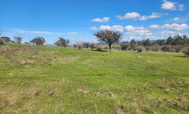Se vende Parcela en Sector Embalse Mallermo, Marchigue