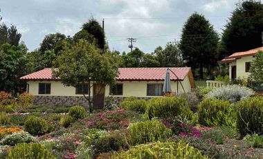 De Venta finca de 12 hectáreas, productiva ganadera, turistica