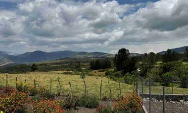 De Venta finca de 12 hectáreas, productiva ganadera, turistica