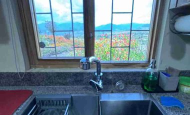 De Venta finca de 12 hectáreas, productiva ganadera, turistica