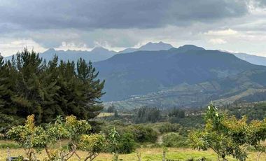 De Venta finca de 12 hectáreas, productiva ganadera, turistica