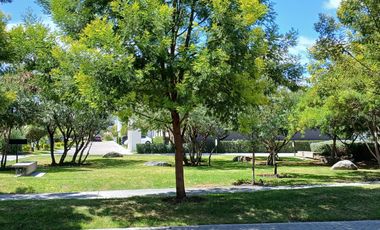 RENTO CASA EN CONDOMINIO AMARA FRACC ALTOS JURIQUILLA