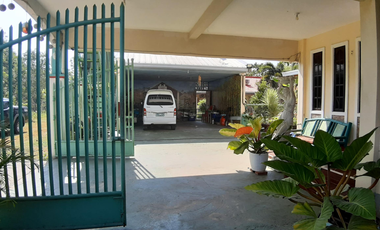 Panglao Island (Alona Area): Compound with Pool & Income Potential near Alona Beach (1,127 sqm±)