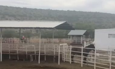 Rancho Ganadero en venta
