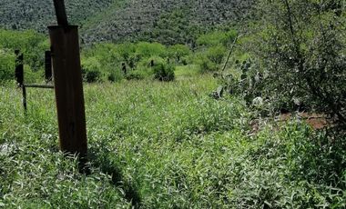 Rancho Ganadero en venta